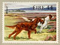 Stamp of Irish Setters