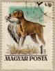 Hungarian Vizsla stamp1