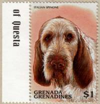 Spinone Stamp