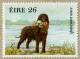 Irish Water Spaniel stamp