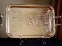 The Renown Marquis Tray