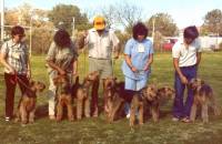 Qualap Airedales c 1981