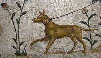 Historical Dog c 320 - 350 AD