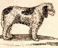 Sheepdog c 1790