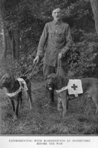 Bloodhounds World War One