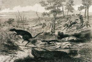 Kangaroo Dogs c 1830