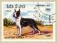 Boston Terrier stamp
