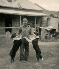  High Country working dogs 1930