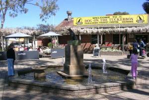 Dog on Tuckerbox Today