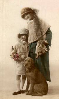 Irish Terrier c 1900