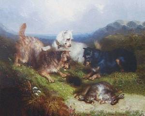 Highland Terriers Rabbiting c 1850