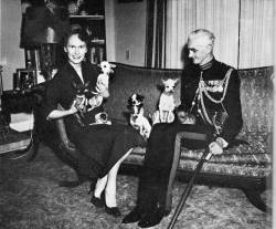 Hilary Harmar and husband with their Chihuahuas in Mexico pre-1955