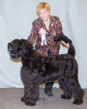 Violet with one of her Black Russian Terriers 